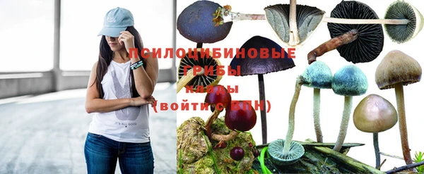 прущие крисы Алексеевка