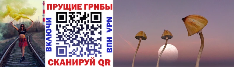 Псилоцибиновые грибы мухоморы  Минусинск 
